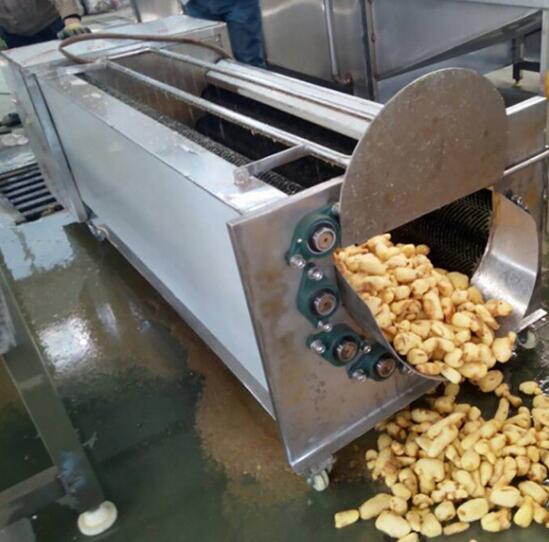 Fresh ginger cleaning machine - Company News - 1 Fresh ginger cleaning machine