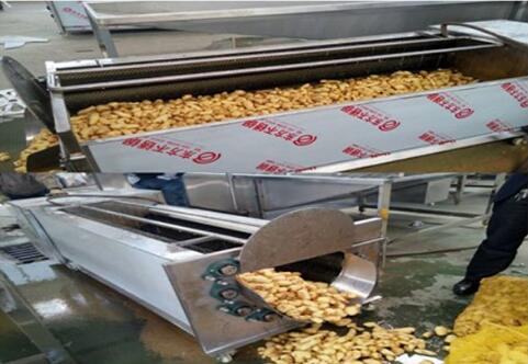 Fresh ginger cleaning machine - Company News - 2 Fresh ginger cleaning machine