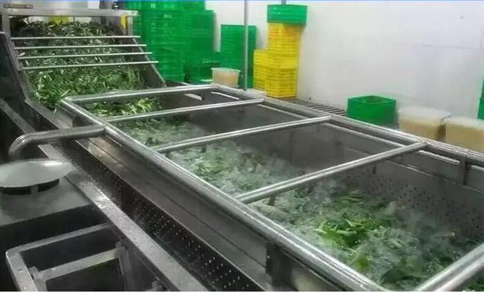 Mustard washing machine, production mustard washing machine - Company News - 1