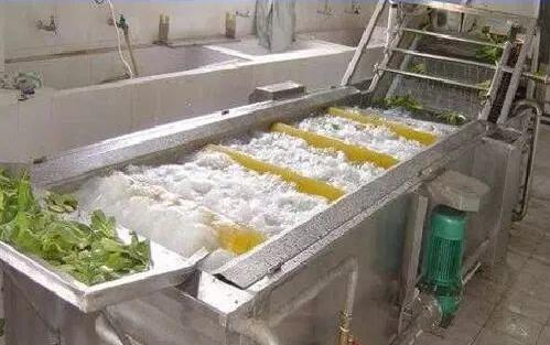 Mustard washing machine, production mustard washing machine - Company News - 2