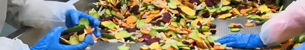Products-Vacuumfryingmachine